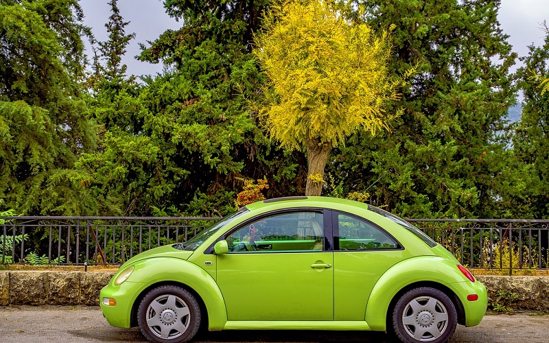 Eco Car Wash: 5 Reasons It Is One of the Most Profitable Franchises