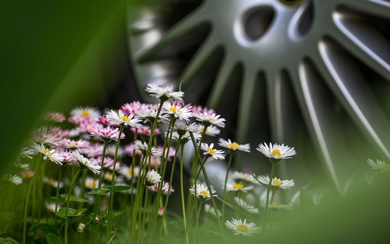 How to Be an Eco Green Car Wash