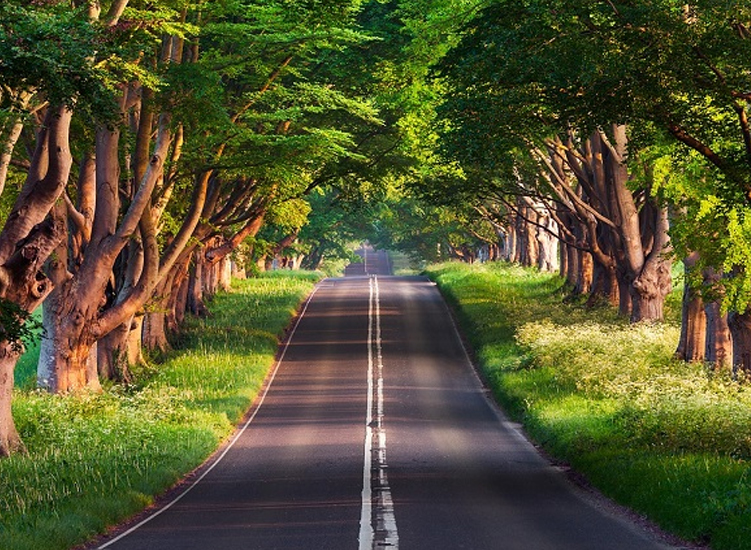 Discover Eco Clean Business