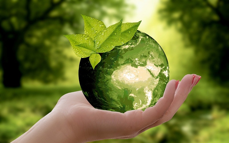 10 Franchise Businesses That Help Mother Earth