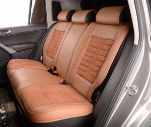 Car Wash Business Advice Top 10 Car Upholstery Cleaners