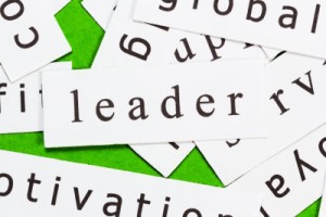 Effective Leadership The Key Behind the Success of Green Automotive Franchise Opportunities